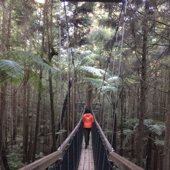 Meet your Posher, Maggie - Picture 1 of 1